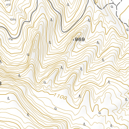 霧島ー花とトレッキング 近況報告 19年10月14日