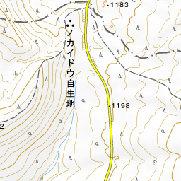 霧島ー花とトレッキング 近況報告 19年10月14日