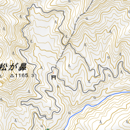 祖母山 風穴コースで花に酔う 16 やまやま再発見