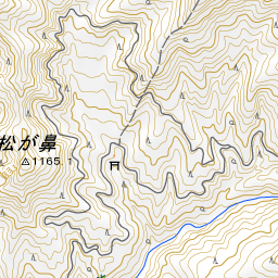 祖母山 風穴コースで花に酔う 16 やまやま再発見