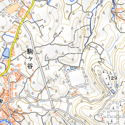 地理院地図