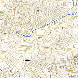 ハーディーと歩く白州 動画あり フライフィッシング データバンク