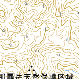 雑想庵の破れた障子 2016年01月
