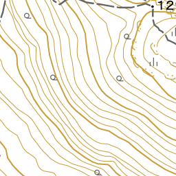 霧島ー花とトレッキング 近況報告 19年02月14日