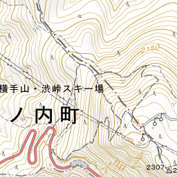 横手山 信州style